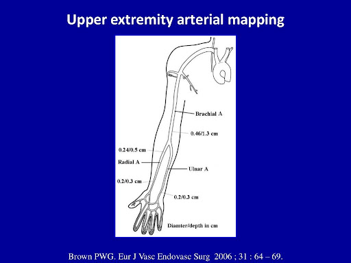 Arterial-mapping-of-upper-limb-1
