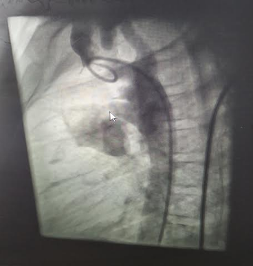 Provisional-Diagnosis-6