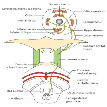 Diagnostic-Video-3