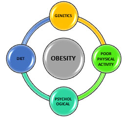 obesity-2