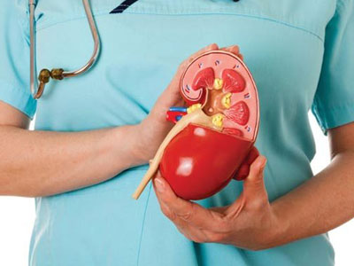 Renal Transplantation in Chennai