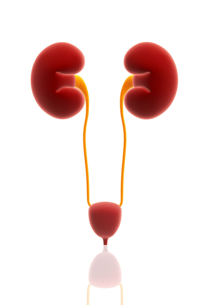 what-is-urinary-tuberculosis