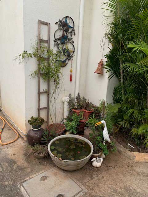 gardening-as-a-hobby-2