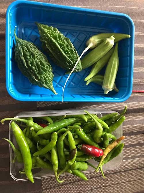 gardening-as-a-hobby-3