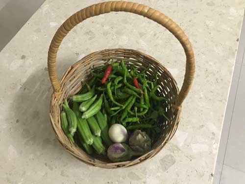 gardening-as-a-hobby-4