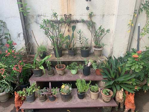 gardening-as-a-hobby-5