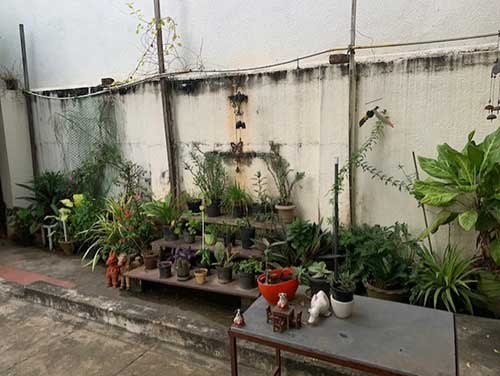 gardening-as-a-hobby-6