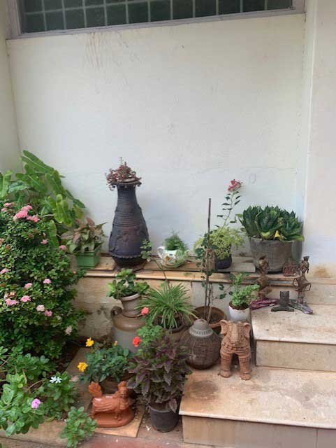 gardening-as-a-hobby-7