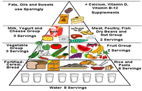 obesity-mother-of-all-diseases-2