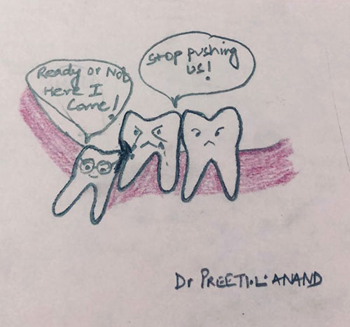 toothy-tales-did-you-know