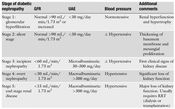 diabetes-mellitus-and-the-kidney-2