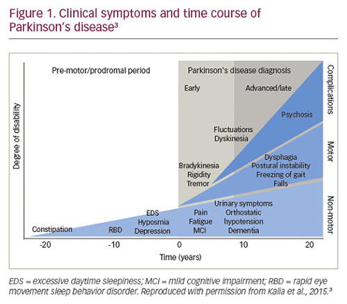 non-motor-symptoms-of-parkinsons-disease-the-elephant-in-the-room-2