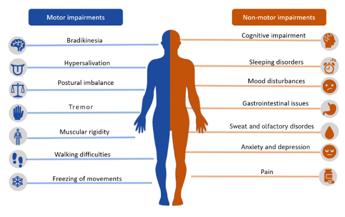 rehabilitation-in-parkinsons-disease-2