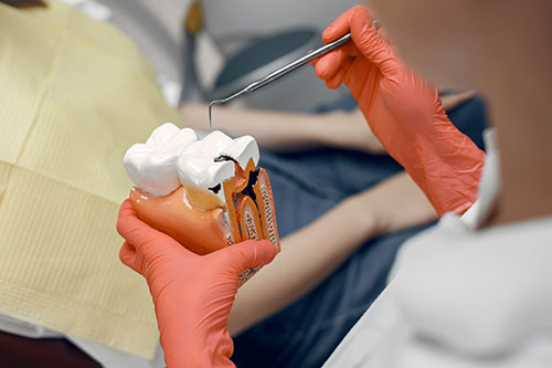 facts-about-the-oral-cavity