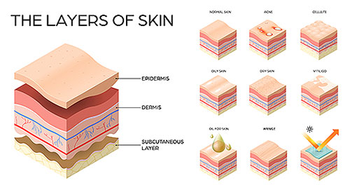 functions-of-skin-and-skin-care