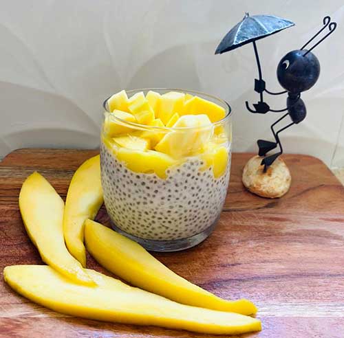 fresh-mango-coconut-chia-seed-pudding-2