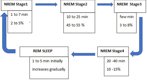 Why Is Sleep Important?