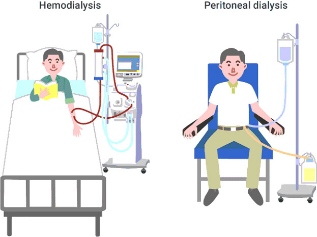 nephrology-and-the-nephrologist-2
