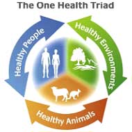 animals-humans-and-the-environment-together-we-are-one-2
