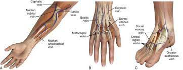 intra-venous-line-4