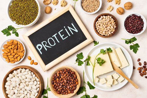protein-the-versatile-nutrient