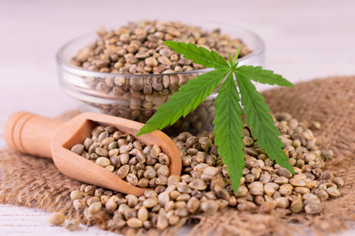 hemp-seeds
