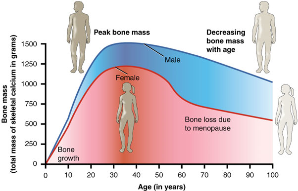 you-own-your-bone-2