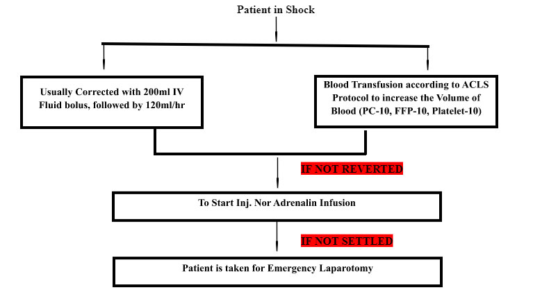 nursing-challenges-faced-in-care-of-patient-with-blunt-injury-abdomen-1