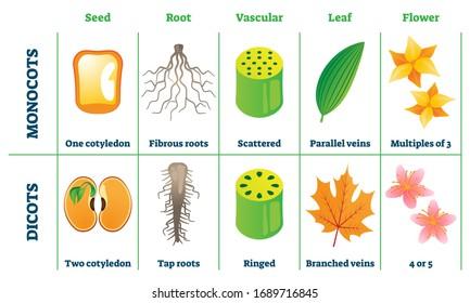 reserve-food-materials