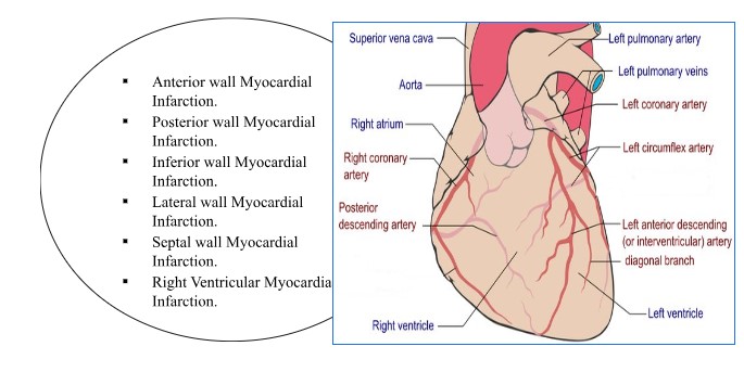 Rapid-Review-of-CNE-13