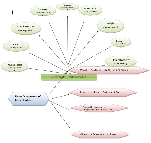 Rapid-Review-of-CNE-15