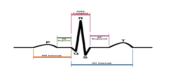 Rapid-Review-of-CNE-3