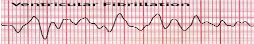 Rapid-Review-of-CNE-6