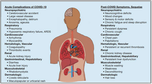 covid-19-press