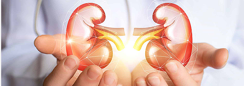 Best Nephrology Hospital in India Best Nephrology Hospital in India