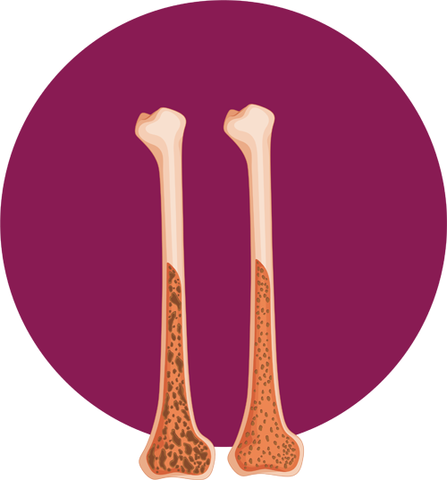 what is bone marrow new what is bone marrow new