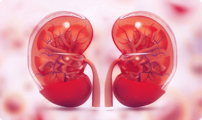 acute kidney injury chroninc kidney disease