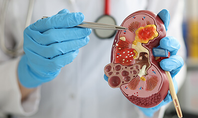 types of kidney disease kidney functions