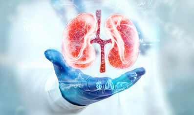types of kidney disease types of kidney disease
