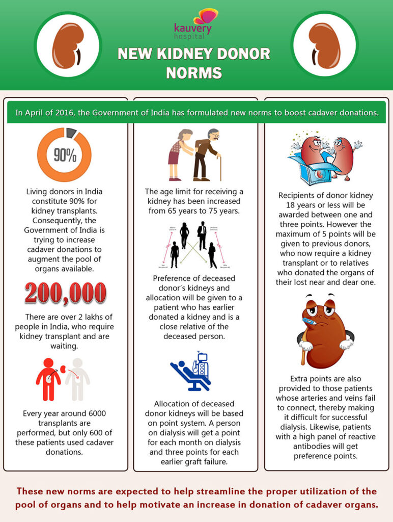infographics New Kidney Donor Norms