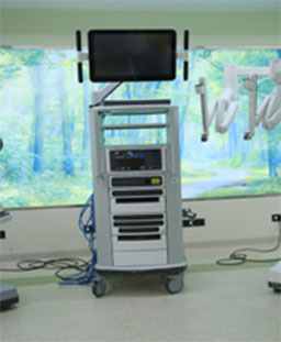 Vision Cart