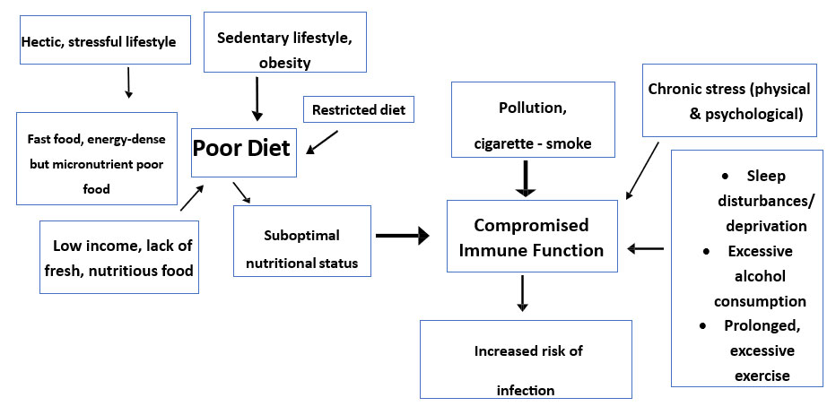 Nutrition - The Centre Stage