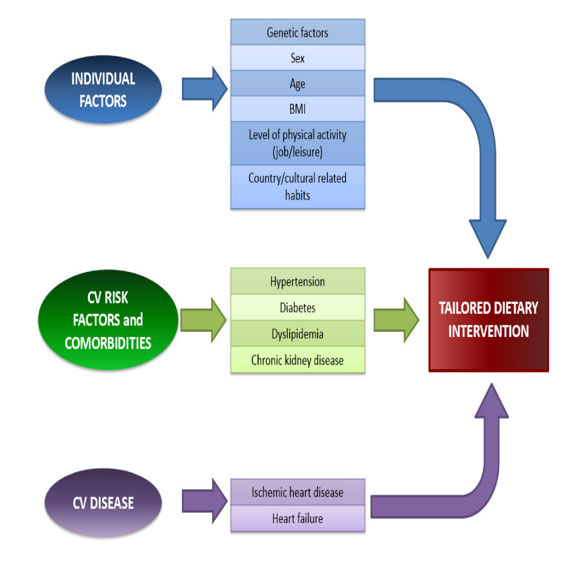Nutrition - The Centre Stage