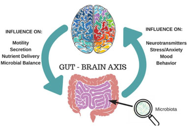 Nutritional Psychiatry