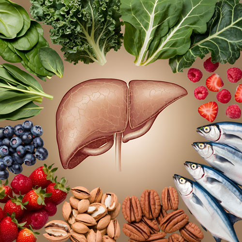 Your Liver Is What You Eat
