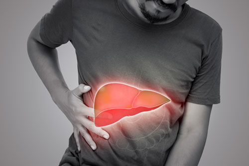 Understanding Fatty Liver